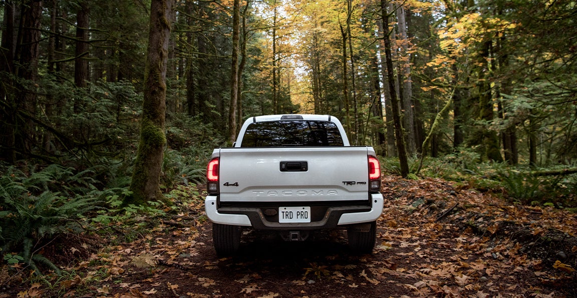 Bennett Toyota of Allentown is a Car Dealership near Fullerton PA | 2020 Toyota Tacoma driving through the woods